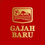 gajah baru